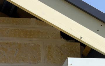 soffit repair Funtley